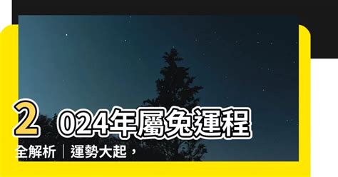 兔運程2024|【2024 屬兔運程】免驚！2024年屬兔運勢全攻略 逆轉。